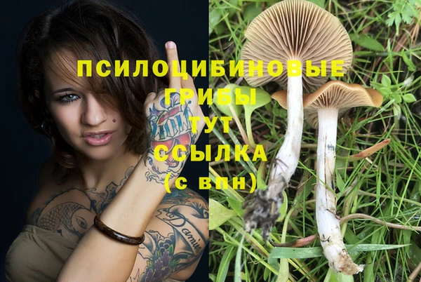 трава Алексин