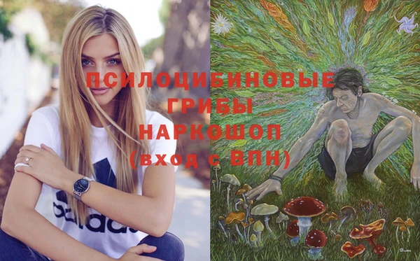 стафф Алексеевка