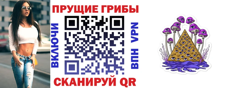 где продают наркотики Дегтярск mega ССЫЛКА Галлюциногенные грибы Magic Shrooms